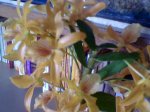 Imagen024.jpg