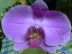 Imagen046.jpg