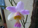 Imagen056.jpg