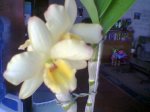 Imagen026.jpg
