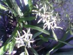 Imagen043.jpg