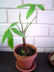 DSC03322.JPG