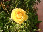 PIC_0004.JPG