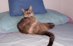 mildred1.JPG