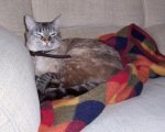 mildred3.JPG