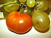 tomatuva.jpg