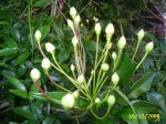 PIC_0075.JPG