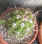 Foto3.jpg