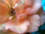 Imagen076.jpg