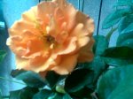 Imagen052.jpg
