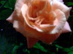 Imagen048.jpg