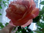 Imagen036.jpg