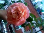 Imagen037.jpg