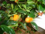 DSC00619.JPG
