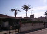 fOtoS-fOrO-(1).jpg