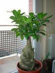 DSCN0755.JPG