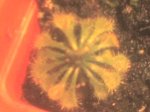 20-12-06_2135.jpg