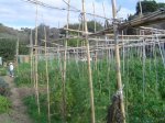 resized_DSC02602.jpg