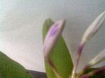 Imagen013.jpg