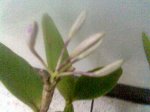 Imagen015.jpg