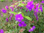 DSCN1467.jpg