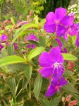 DSCN1469.jpg