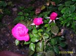 PIC_0041.JPG