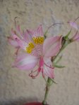 DSC00020.JPG