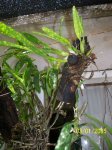 Imagen 004.jpg