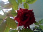 Imagen004.jpg