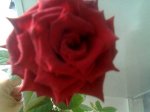 Imagen055.jpg