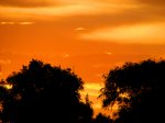 atardecer naranja.jpg