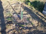 HUERTA 12 - 06 016.jpg