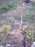 HUERTA 12 - 06 027.jpg
