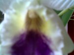 Imagen020.jpg