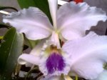 Imagen024.jpg