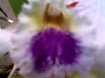 Imagen028.jpg