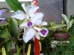Imagen031.jpg