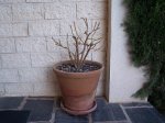 100_2965.JPG