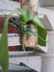 IMG_3452.JPG
