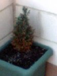 Imagen002.jpg