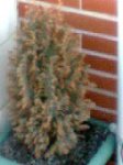 Imagen003.jpg