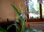 DSCN0781.JPG