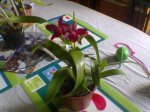 Imagen075.jpg