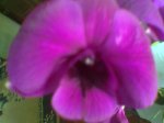 Imagen077.jpg