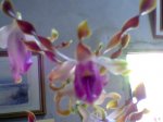 Imagen078.jpg