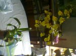 Imagen085.jpg
