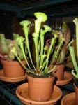 DSC02292.JPG