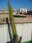 Copia de DSCN0495.jpg