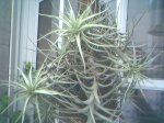 03-01-07_0721.jpg